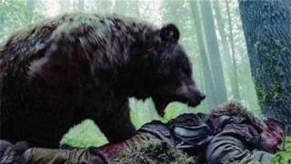 灰熊为什么杀掉灰熊人，灰熊人死前说了什么？
