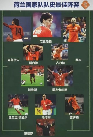 荷兰世界杯阵容2014年球员（荷兰 2014世界杯）