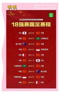 包含下一届世界杯中国有机会吗的词条