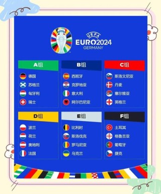 2012欧洲杯英格兰法国阵容，2012欧洲杯法国队阵容？