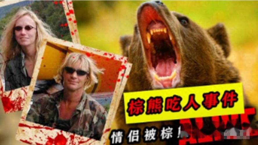 灰熊为什么杀掉灰熊人,灰熊人死前说了什么? 第5张 灰熊为什么杀掉灰熊人,灰熊人死前说了什么? 第5张