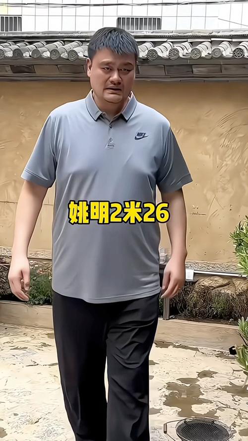 姚明有多高?(姚明有多高?姚明的妻子有多高?) 第4张 姚明有多高?(姚明有多高?姚明的妻子有多高?) 第4张