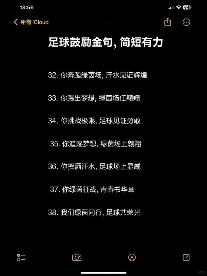 能表达热爱足球的句子,表示热爱足球的文案 第5张 能表达热爱足球的句子,表示热爱足球的文案 第5张