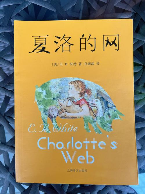 eb怀特全名叫什么(eb怀特图片) 第6张 eb怀特全名叫什么(eb怀特图片) 第6张