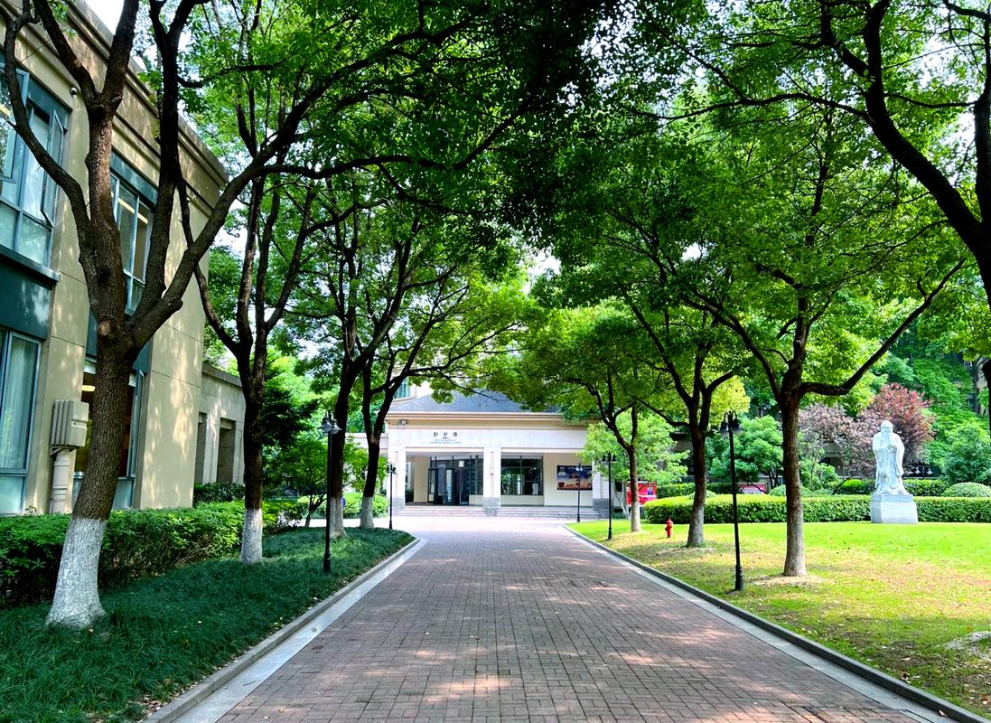 绿城足球学校好不好,绿城足球俱乐部梯队招生 第1张 绿城足球学校好不好,绿城足球俱乐部梯队招生 第1张