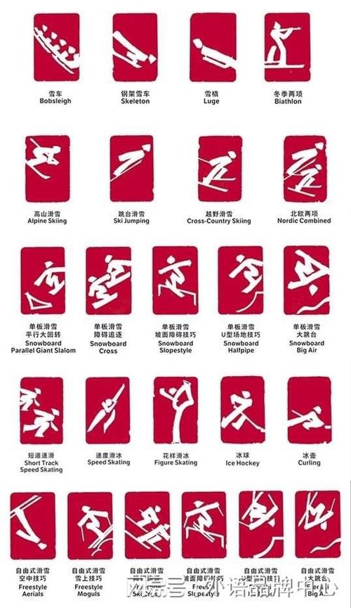 冬奥会上有哪些项目，冬奥会的所有项目？  第3张
