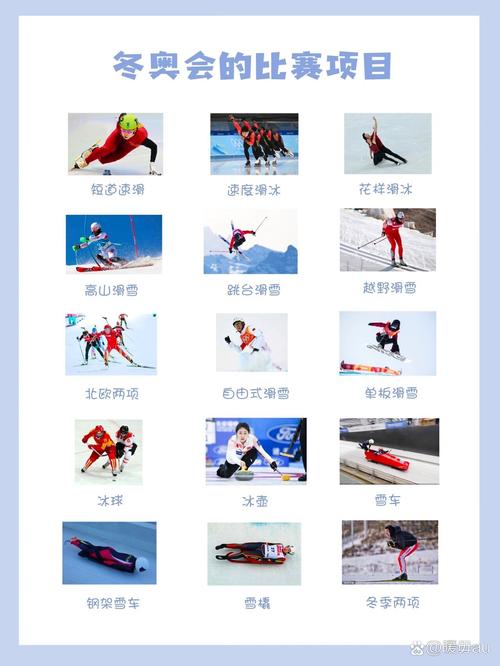 冬奥会上有哪些项目，冬奥会的所有项目？  第5张