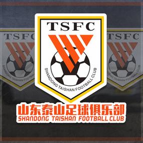 鲁能足球俱乐部票务公告,鲁能球赛门票购买 第3张 鲁能足球俱乐部票务公告,鲁能球赛门票购买 第3张