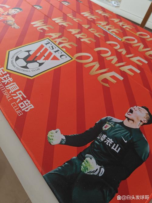 鲁能足球俱乐部票务公告,鲁能球赛门票购买 第4张 鲁能足球俱乐部票务公告,鲁能球赛门票购买 第4张